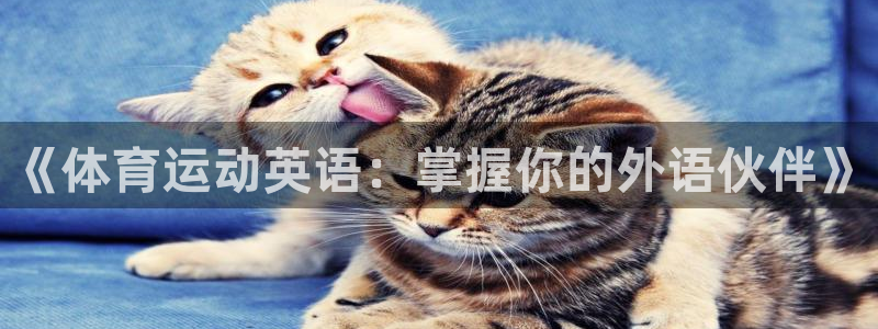 急速体育直播nba：《体育运动英语：掌握你的外语伙伴》