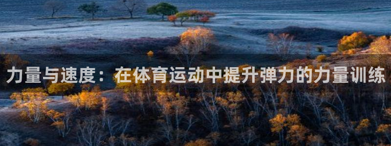 急速体育直播nba：力量与速度：在体育运动中提升弹力的力量训练