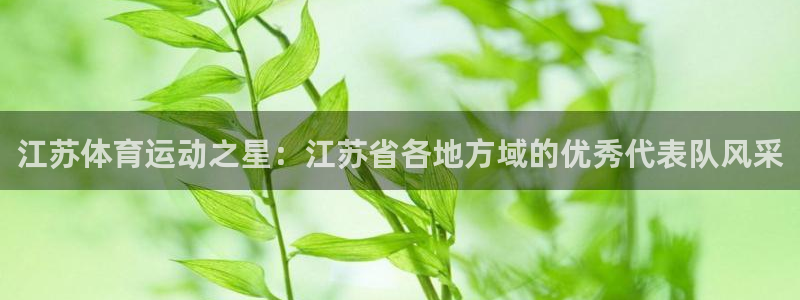 急速体育直播nba：江苏体育运动之星：江苏省各地方域的优秀代表队风采