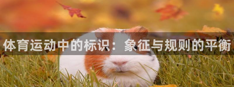 急速体育：体育运动中的标识：象征与规则的平衡
