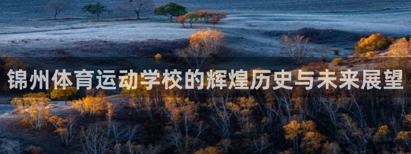急速体育首页：锦州体育运动学校的辉煌历史与未来展望