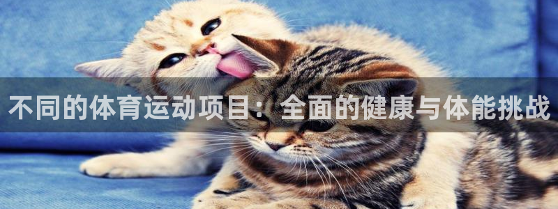 急速体育nba：不同的体育运动项目：全面的健康与体能挑战