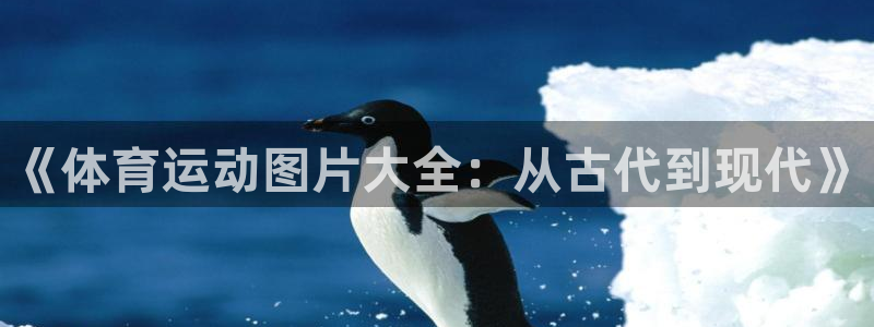 急速体育cba：《体育运动图片大全：从古代到现代》