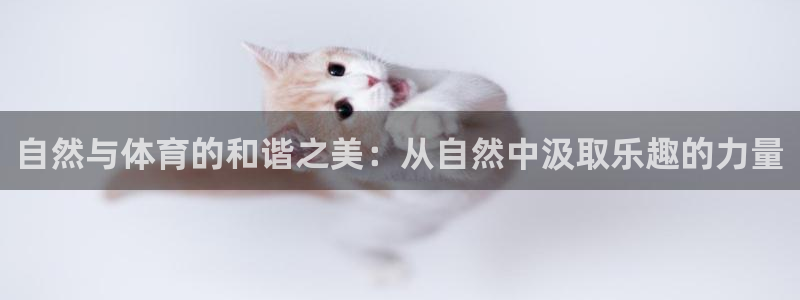 急速体育nba直播在线观看：自然与体育的和谐之美：从自然中汲取乐趣的力量