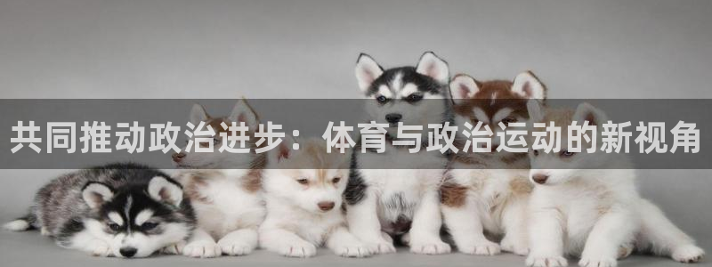 急速体育cba：共同推动政治进步：体育与政治运动的新视角