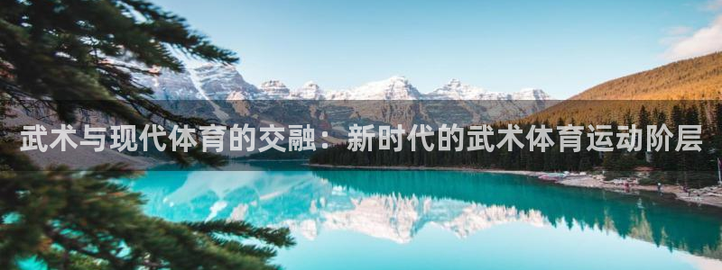 急速体育直播nba：武术与现代体育的交融：新时代的武术体育运动阶层